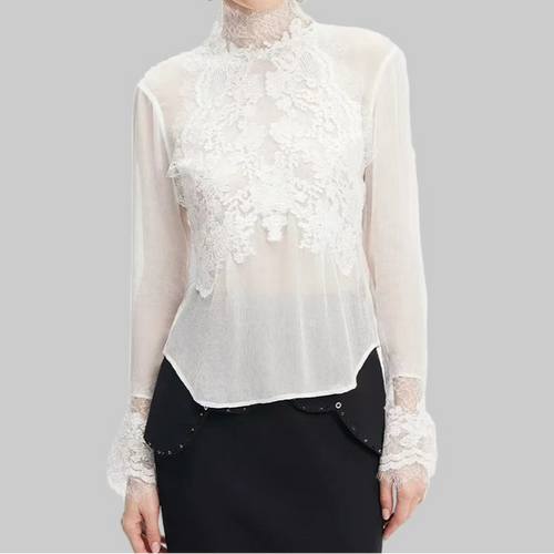Lace-trimmed semi-transparent Top