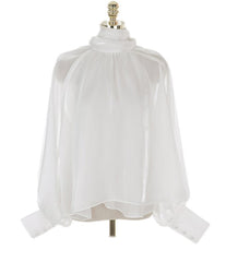 Long Lantern Sleeve Bowknot Silky Shirts